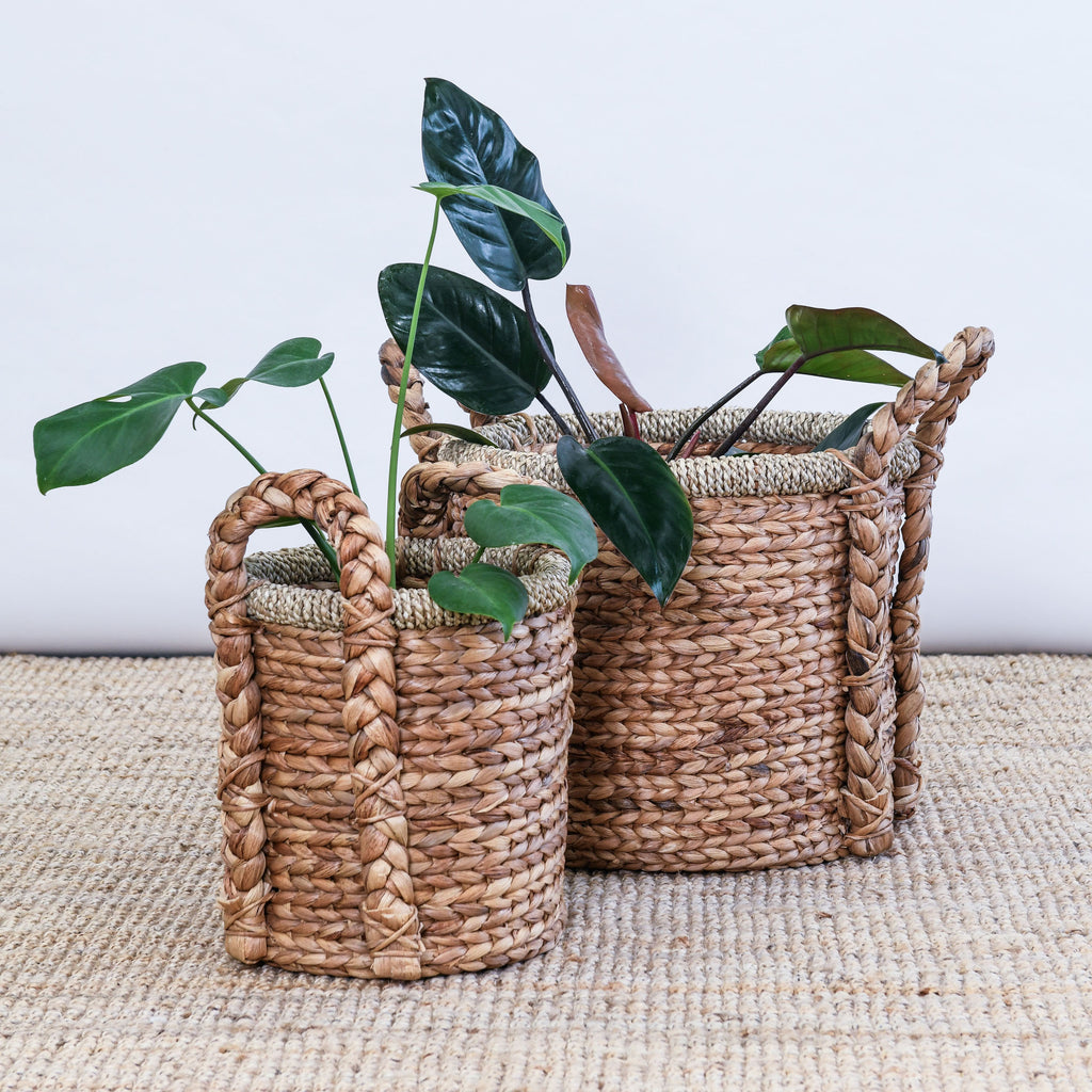 WATER HYACINTH BASKET WITH HANDLES